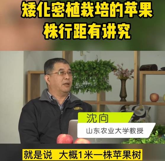 矮化蘋(píng)果種植要點(diǎn)
